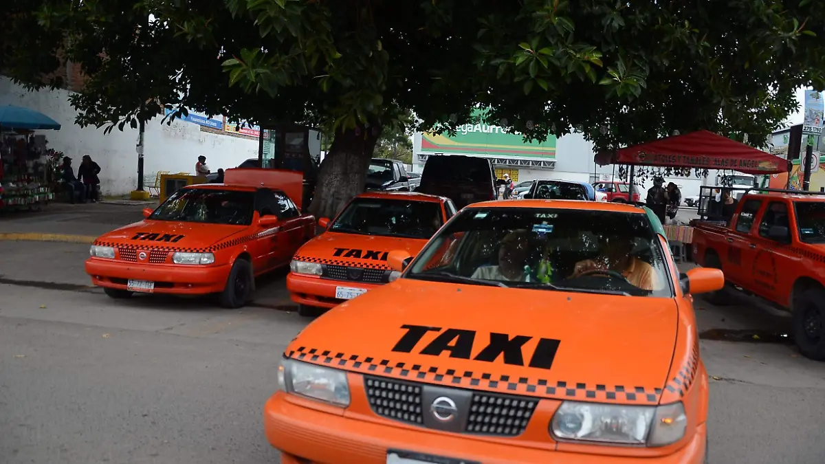 Existen casos de taxistas que perdieron un día de trabajo al carecer del combustible. Foto Archivo